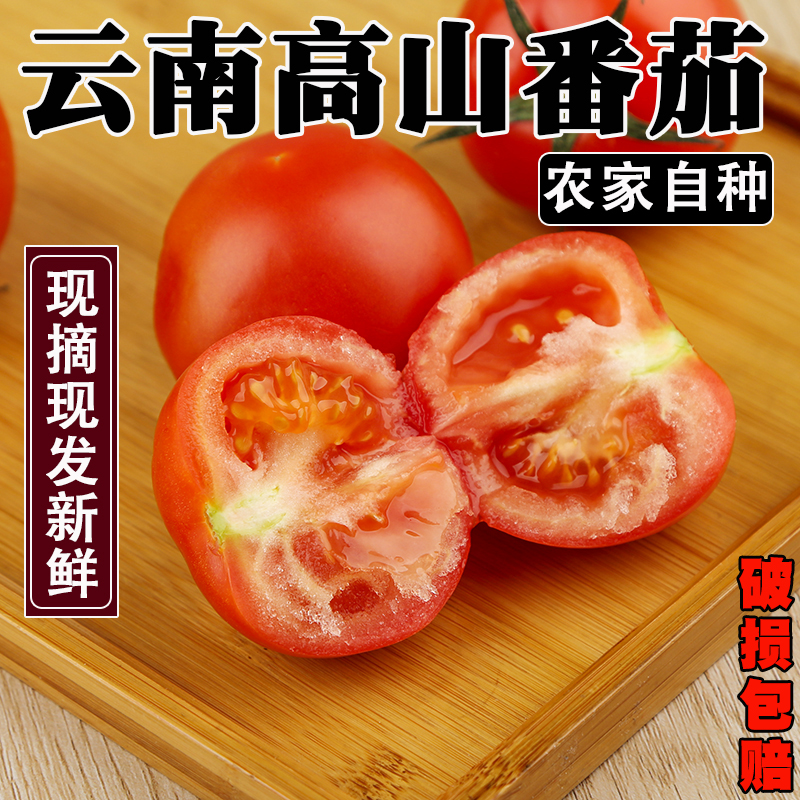 云南红果番茄自然熟西红柿沙瓤红番茄生吃孕妇水果番茄沙瓤