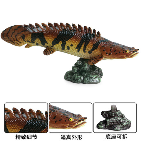 仿真斑实心节动物玩具恐龙鱼鳄雀鳝儿童金龙鱼海洋模型淡水鱼