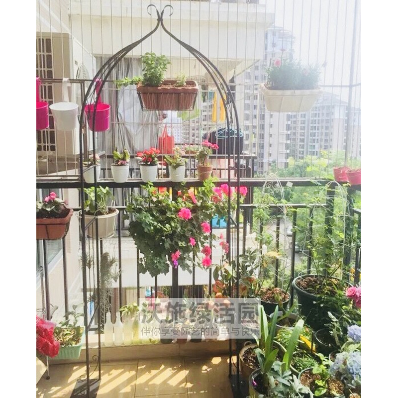 家庭阳台拱门花架爬藤架子花植物月季爬藤架玫瑰藤支架庭院攀爬架