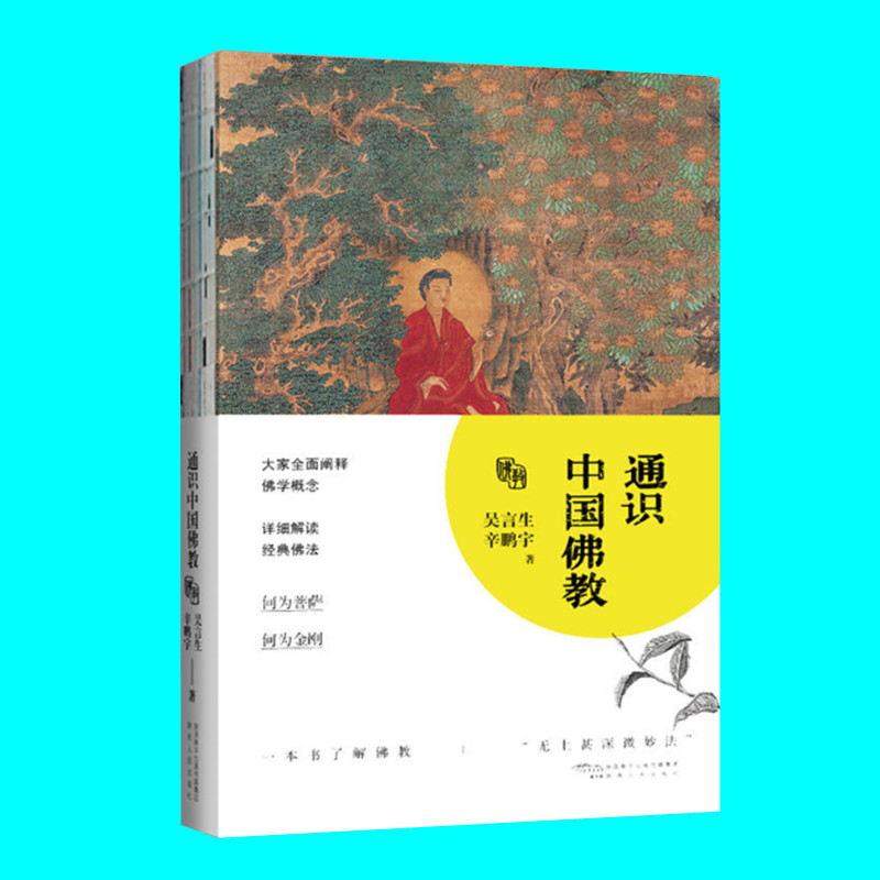 通识中国佛教 吴言生 辛鹏宇著 陕西人民出版社 正版图书