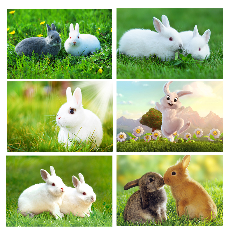 可爱兔子贴画小白兔小黑图两只兔子吃草装饰宿舍卧室贴墙自粘画