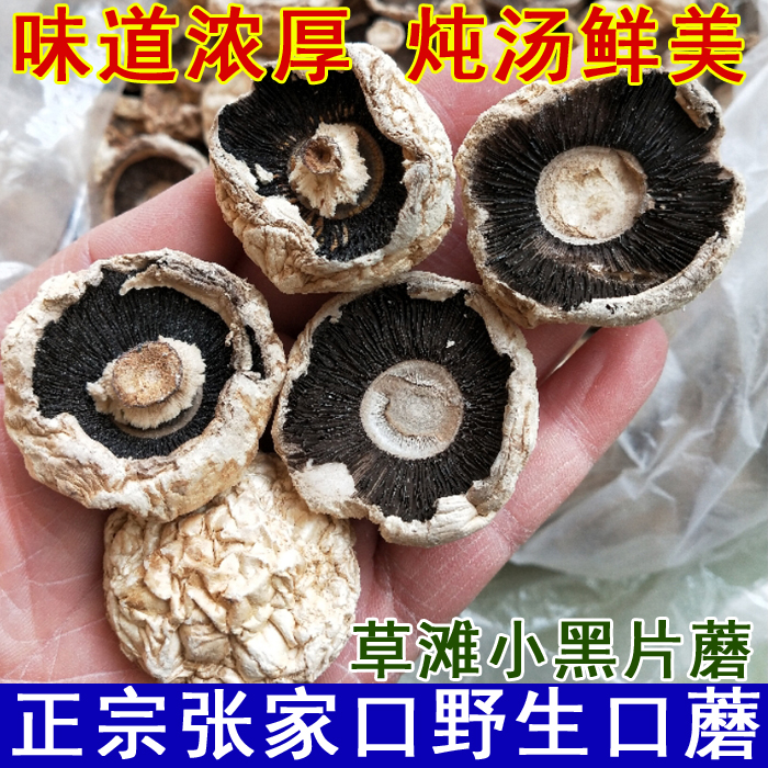 张家口野生口蘑 草原黑片蘑菇 黑口蘑 味道浓厚炖汤 坝上口蘑250g