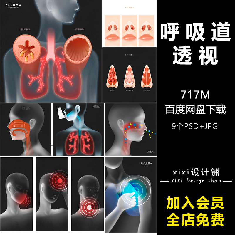 qt07人体呼吸道透视图医学图片PSD分层素材人体结构咽喉肺部食道