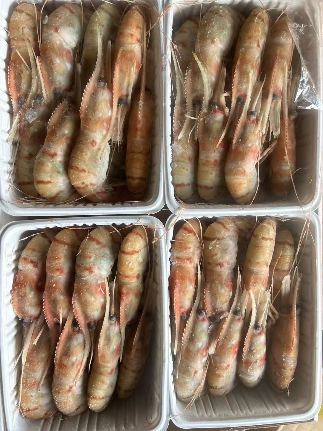俄罗斯进口牡丹虾 高端日式料理食材刺身级海鲜白牡丹1000g约24个