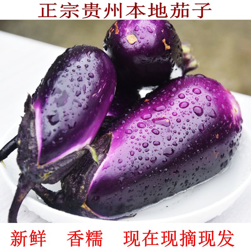 新鲜紫皮茄子现摘现货速发椭圆土短茄子老品种鲜嫩软糯应季蔬菜
