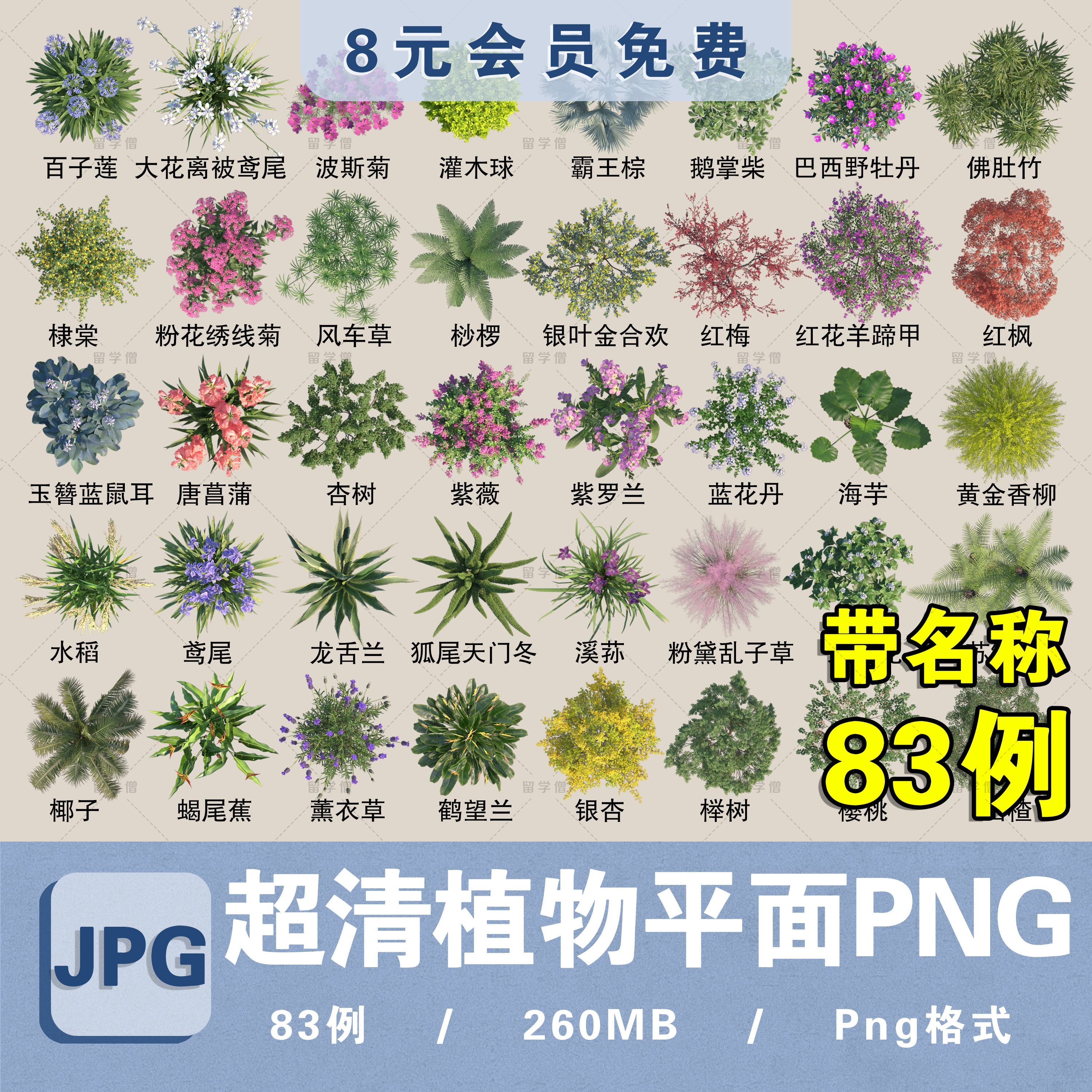 procreate彩平图植物树草花卉花境乔灌木平面图例PSD/PNG免抠素材