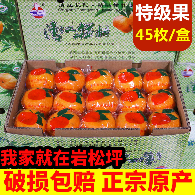 正宗长阳清江岩松坪椪柑桔子蜜桔芦柑橘子新鲜当季水果特级45个装