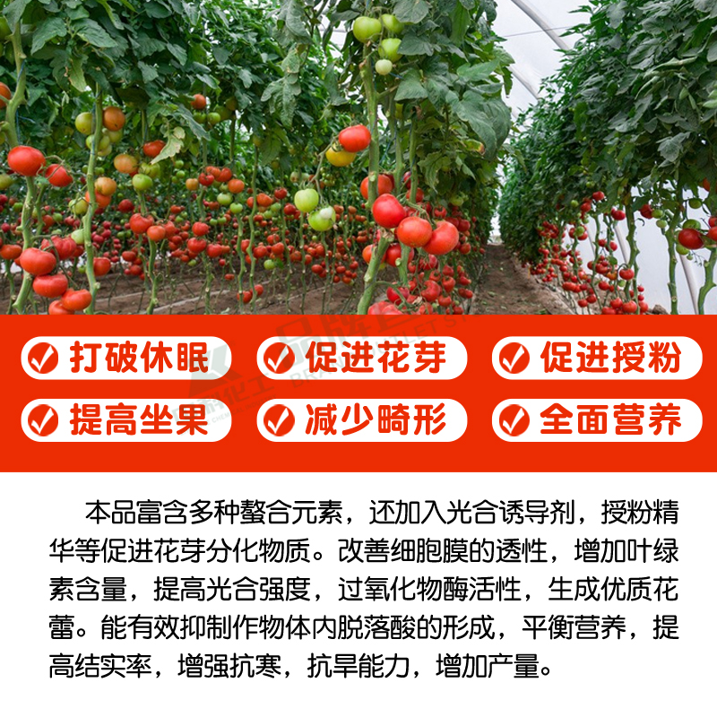 剂芽素促花芽分化专用叶面肥细果B分裂素促授粉催发芽花胞树番茄