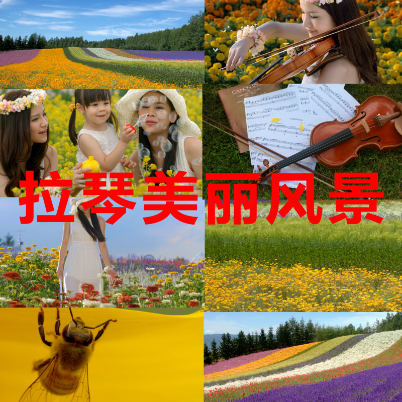 美丽女孩拉小提琴向日葵公园幸福笑容花海草地蓝天高清视频素材