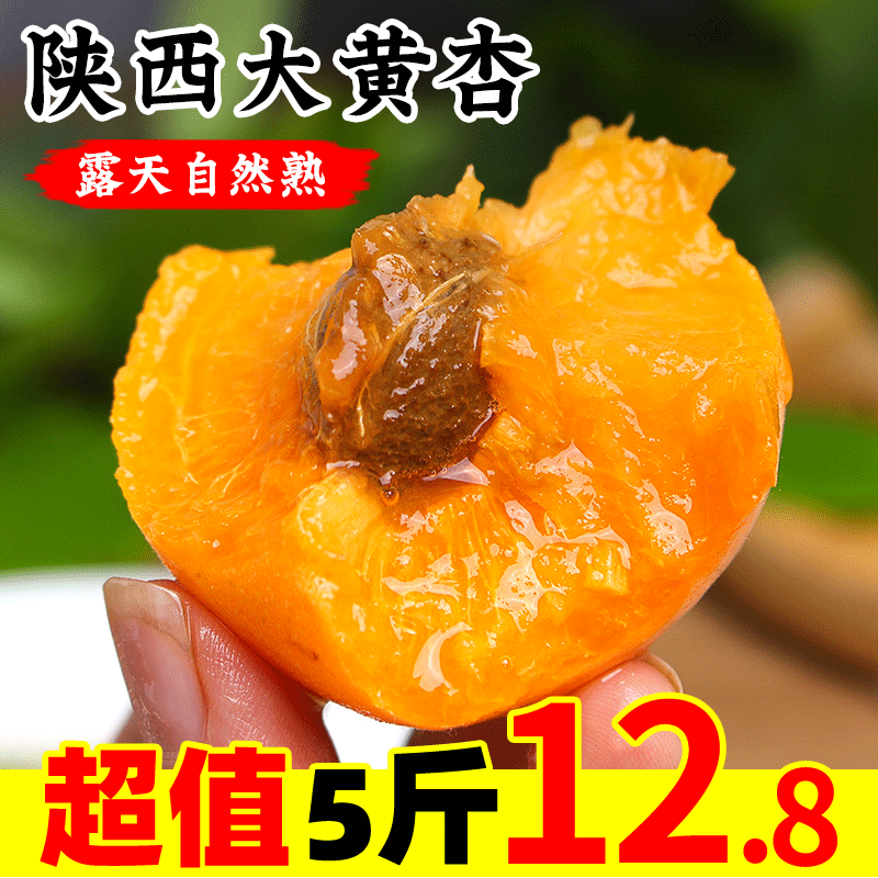 杏子水果