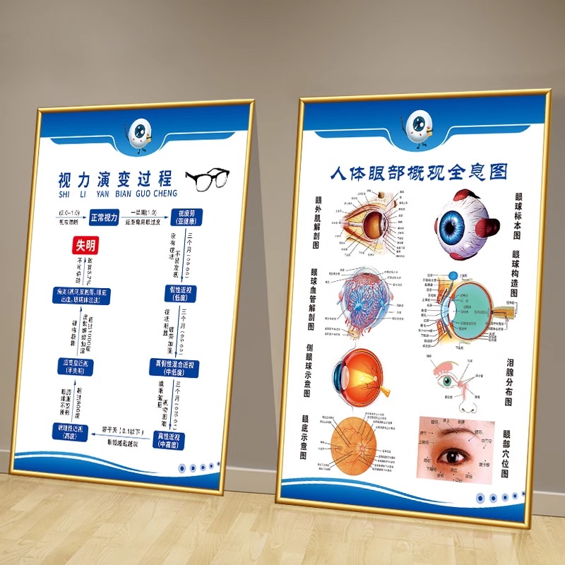 眼科诊所广告眼镜店墙面布置装饰贴画眼球结构图验光流程宣传海报