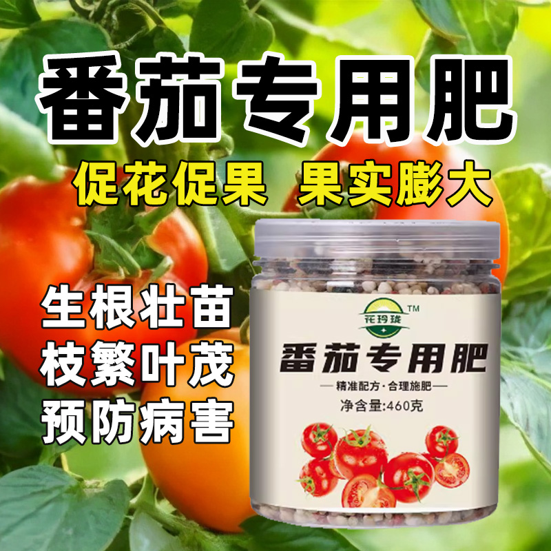 番茄专用肥西红柿专用肥圣女果营养液小番茄肥料盆栽蕃茄种子挂果