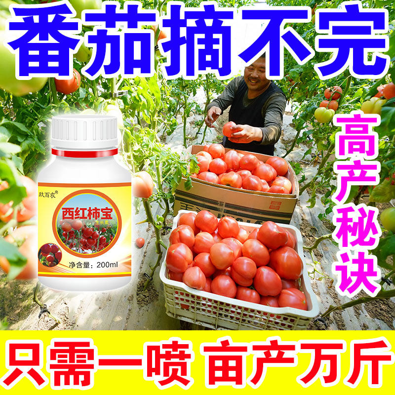 番茄肥料有机肥专用肥西红柿增产膨大素小番茄生长素水溶肥营养液