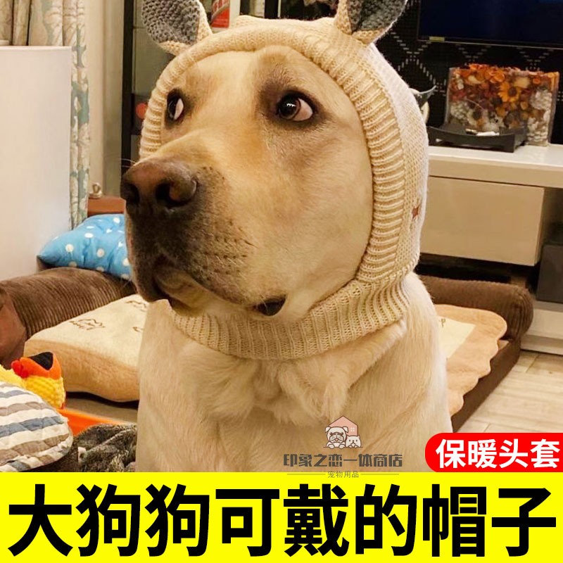 狗狗专用帽子冬天毛线绒帽冬季头套保暖边牧金毛拉布拉多戴的帽子