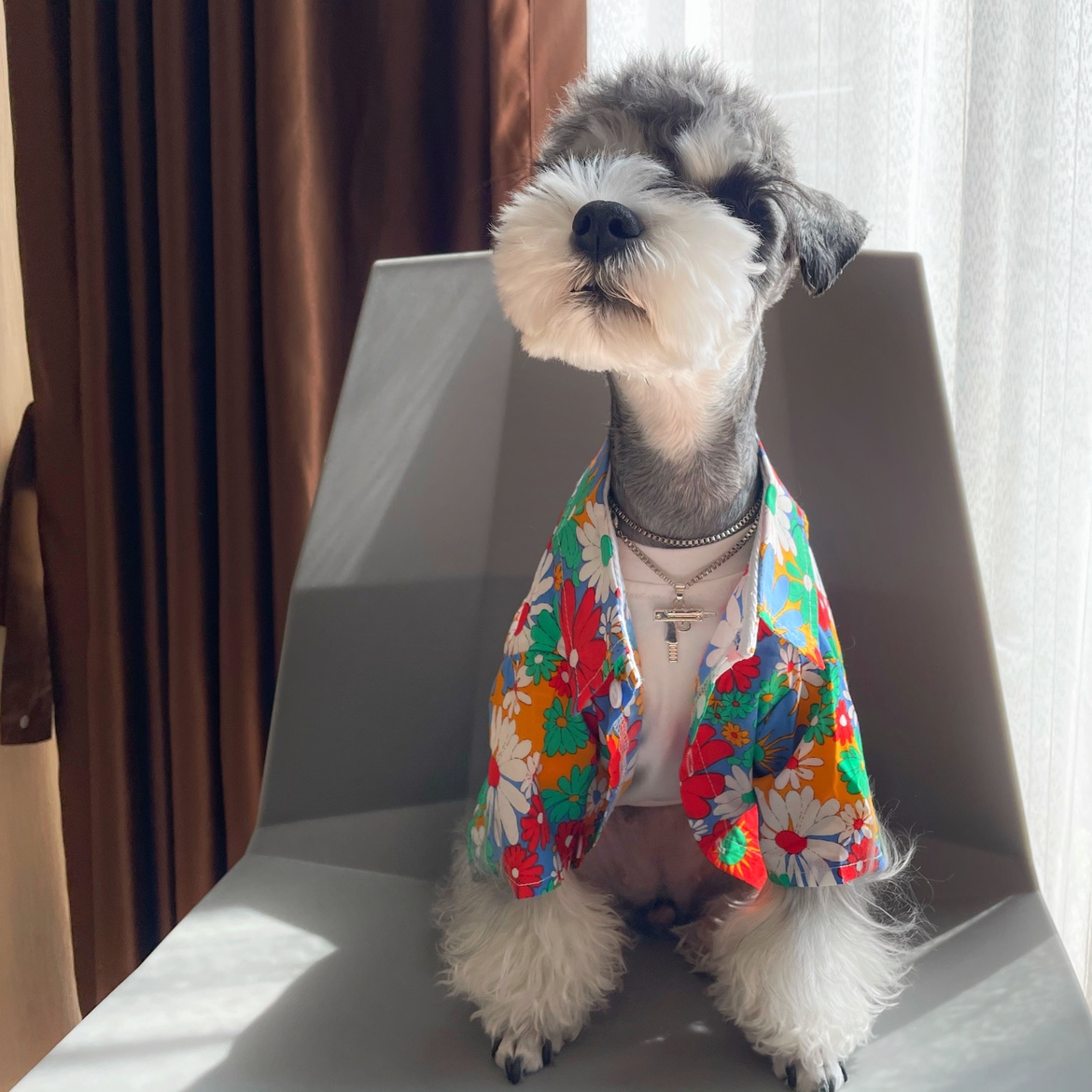 狗狗衣服夏季透气薄款法斗雪纳瑞比熊泰迪柴犬沙滩潮宠物衬衫个性