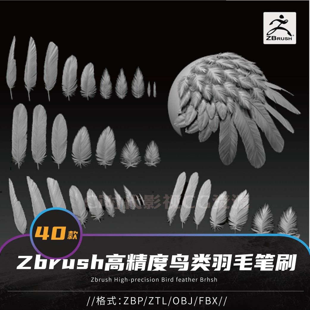 鸟类羽毛zbrush翅膀笔刷模型obj/fbx/ztl/zbp格式翅膀羽毛模型