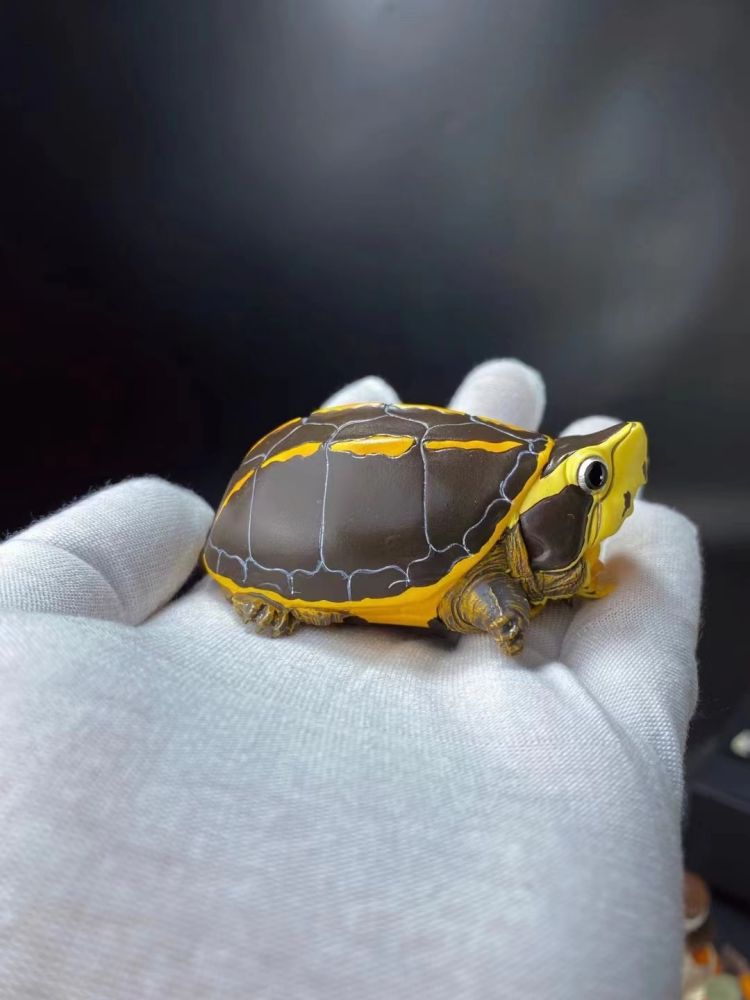 铁拳匠造 树脂精工 动物世界 乌龟系列第一弹 《果核泥龟》