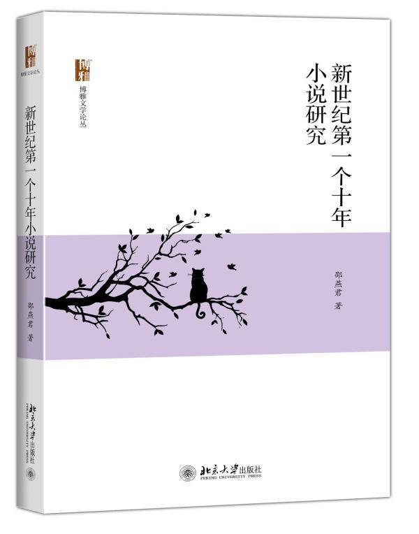 新世纪个十年小说研究书邵燕君小说研究中国当代 文学书籍