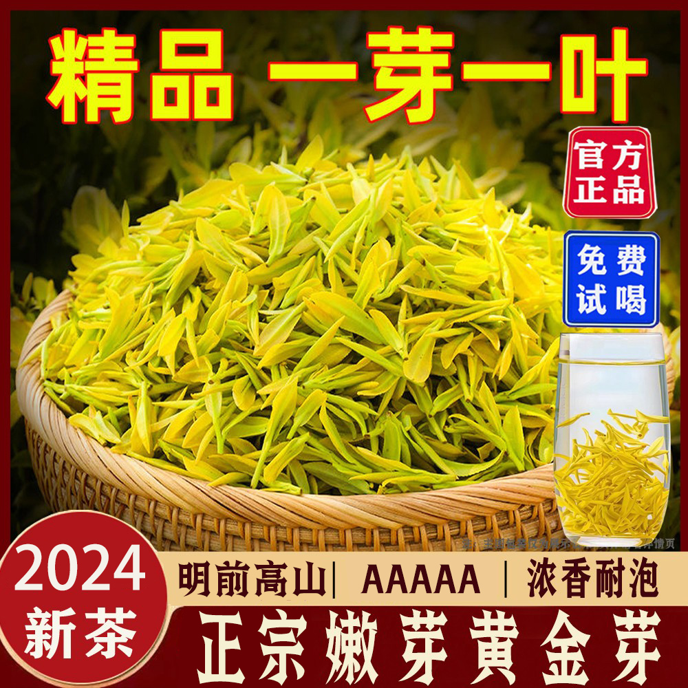 2024新茶黄金芽500克正宗明前高档茶叶毛尖浓香型高山白茶正品