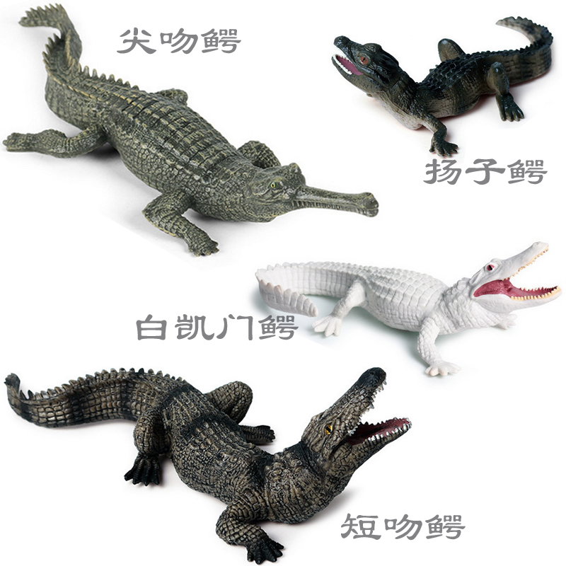 硬塑料长吻鳄短吻鳄仿真模型中国扬子鳄凯门鳄儿童过家家鳄鱼玩具