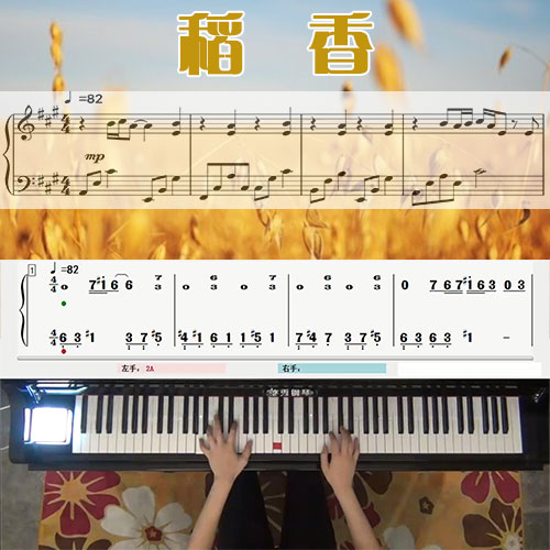稻香(周杰伦)五线谱简谱钢琴教学课程 悠秀