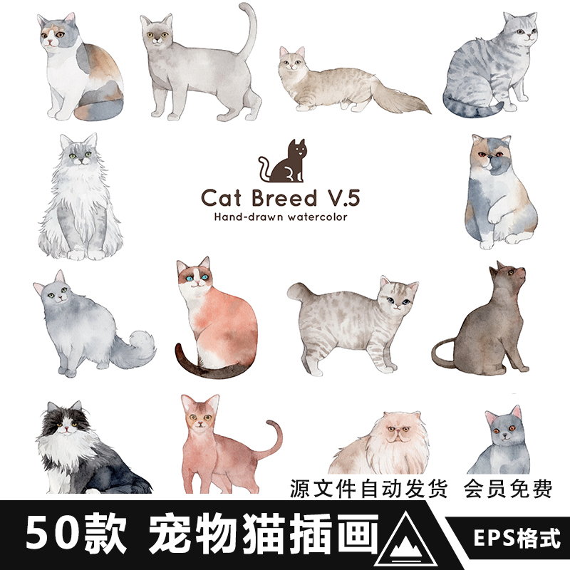 手绘卡通水彩可爱宠物猫咪品种猫写实形象装饰插画矢量AI设计素材