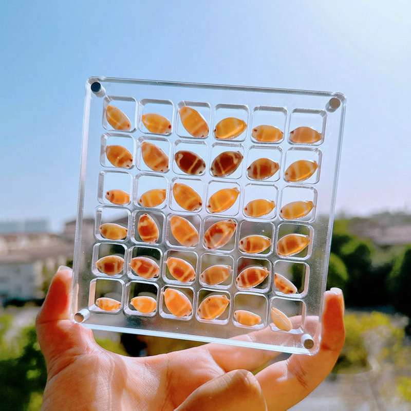 贝壳收纳盒亚克力正方形透明海边微型石头标本展示迷你贝壳收纳框