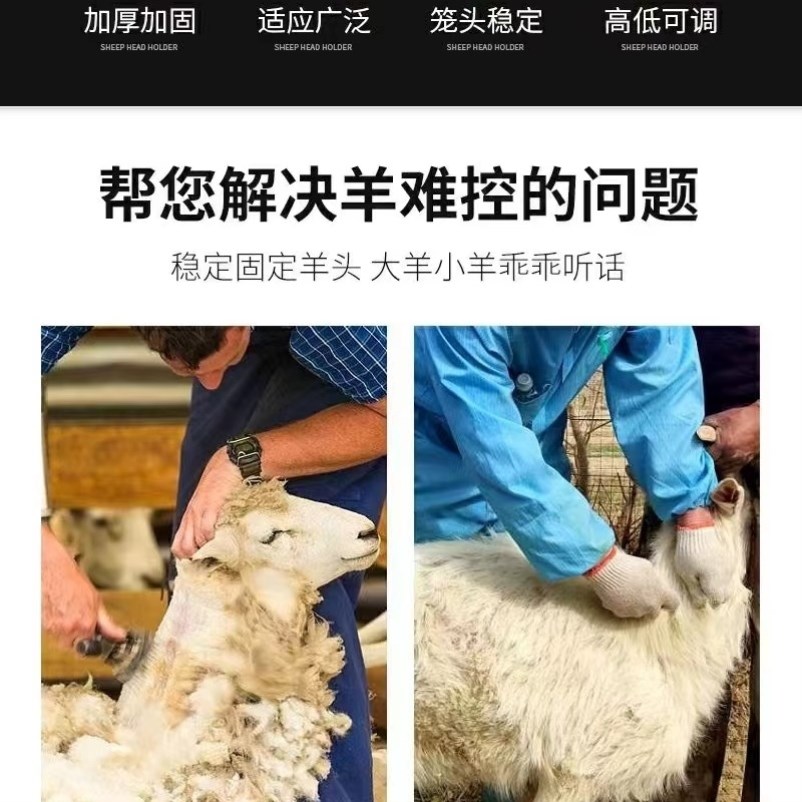 剪羊毛固定架升级款羊用配种喂药修蹄绵羊笼头固定器升降羊头架子