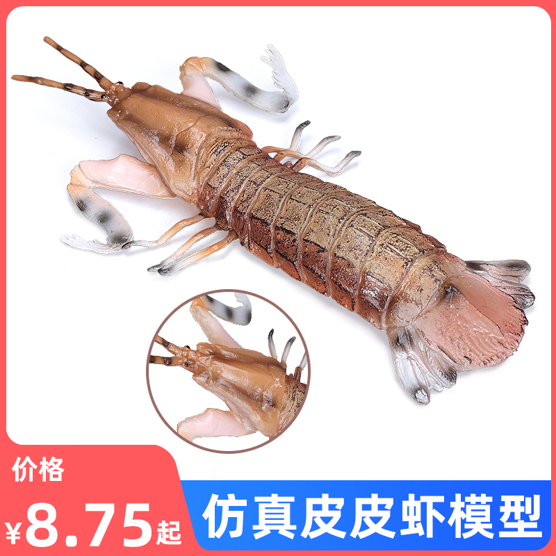 仿真海洋生物模型皮皮虾玩具琵琶虾虾蛄儿童认知科教礼物节肢动物