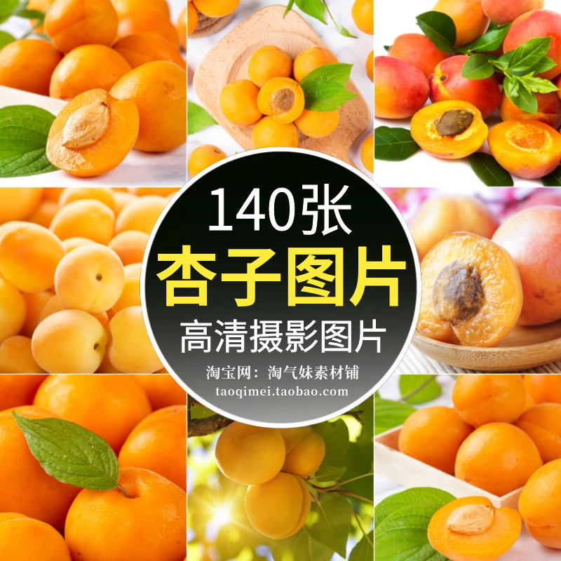 高清JPG杏子图片黄杏红杏果园新鲜水果美味果蔬果实背景摄影素材