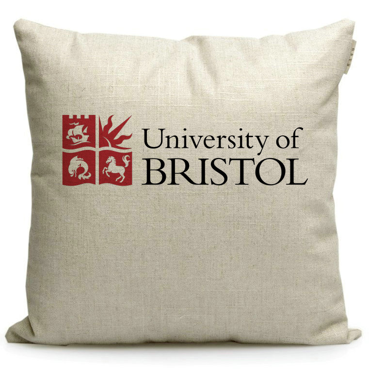 布里斯托大学Bristol纪念品午休靠枕英国名校周边沙发靠垫抱枕