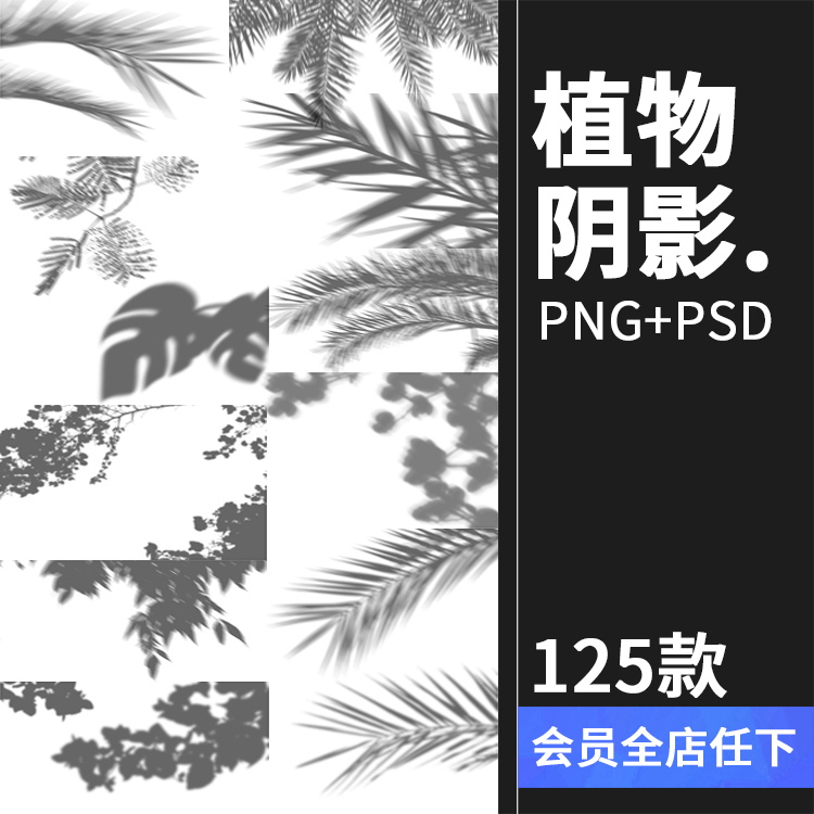 创意花卉植物叶子剪影阴影影子形状装饰元素PNG免抠PSD模板PS素材