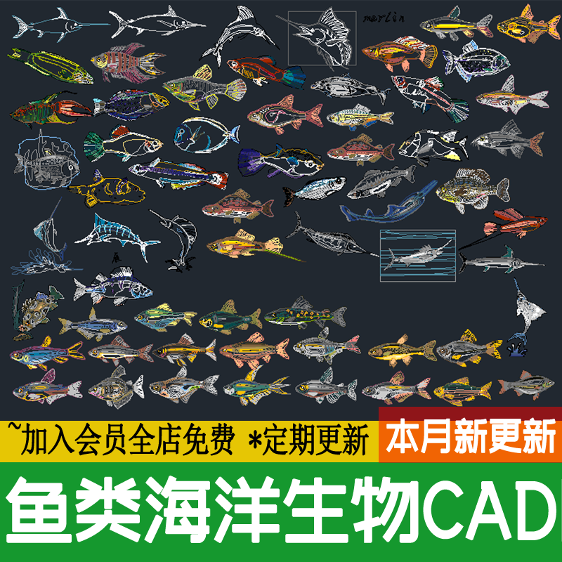 鱼类海洋生物施工图元素图库 集龙虾鲨鱼鲸鱼乌龟螃蟹海螺CAD图块