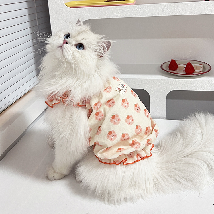 猫咪衣服夏天防掉毛薄款纯棉幼猫小猫布偶宠物猫猫的可爱夏季背心