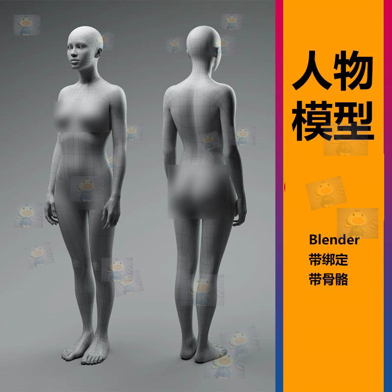 Blender基础网格男女人物3D模型角色骨骼动作绑定高精度真实素材