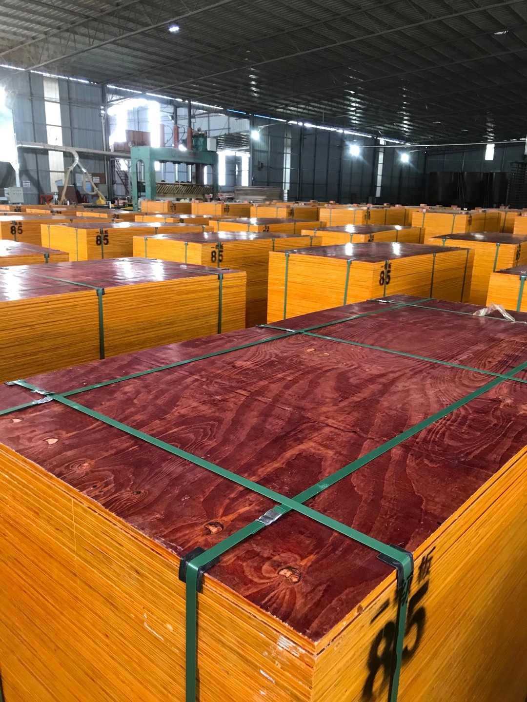 广东揭阳建筑模板厂家直销胶合板建筑木工板小红板12mm可当隔层板