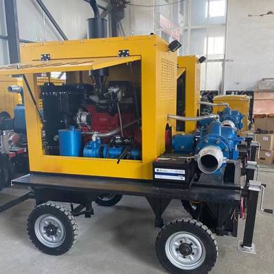 赛尔达 柴油机抽水泵车 移动式抽水车 农用灌溉轴流泵