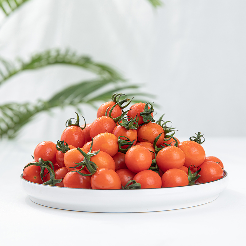 千禧小番茄圣女果新鲜自然熟黄色西红柿新鲜水果现摘现发蔬菜