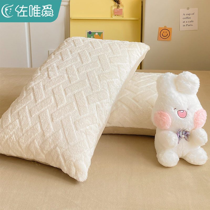 纯色冬季牛奶绒枕套珊瑚绒枕头套一对家用白色加厚单人枕芯内胆套