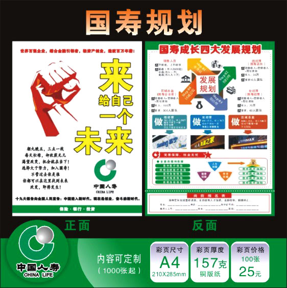 中国人寿保险宣传单彩页国寿规划招聘成长增员