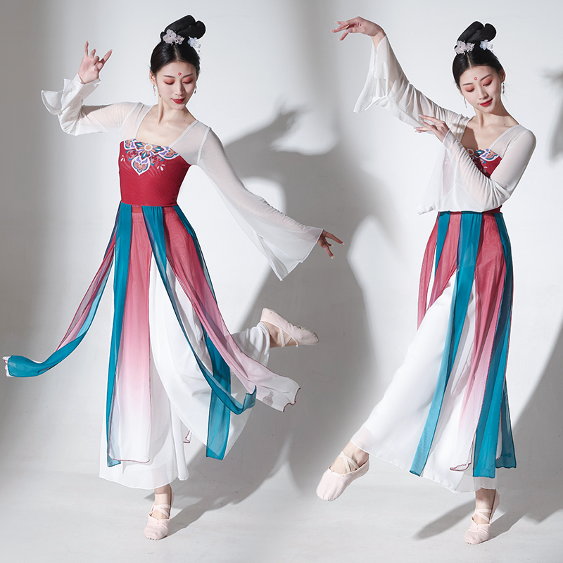 古典舞表演服女飘逸中国风古风成人练功服身韵纱衣现代民族舞套装