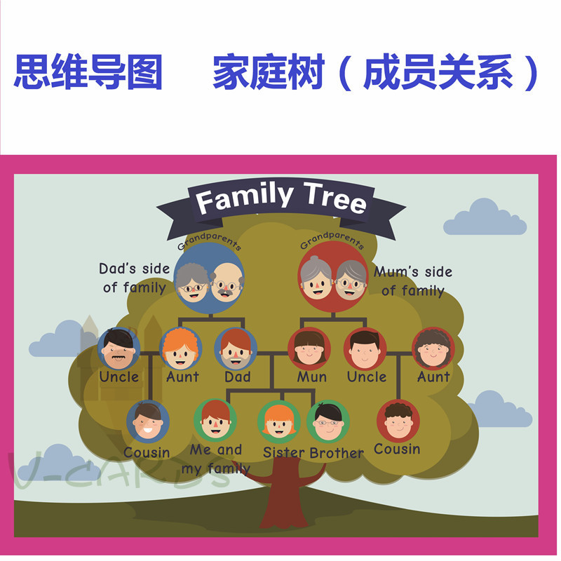 思维导图family tree家庭树成员英语教具大卡教室装修装饰海报