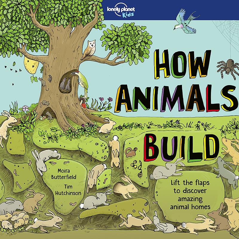 【预售】LonelyPlanet英文原版LP孤独星球 How Animals Build1动物如何繁殖插图科普绘本儿童书籍
