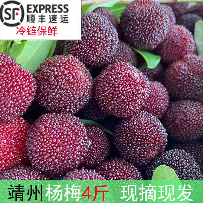 湖南怀化靖州杨梅新鲜采摘杨梅鲜果乌梅应季水果4斤时令生鲜