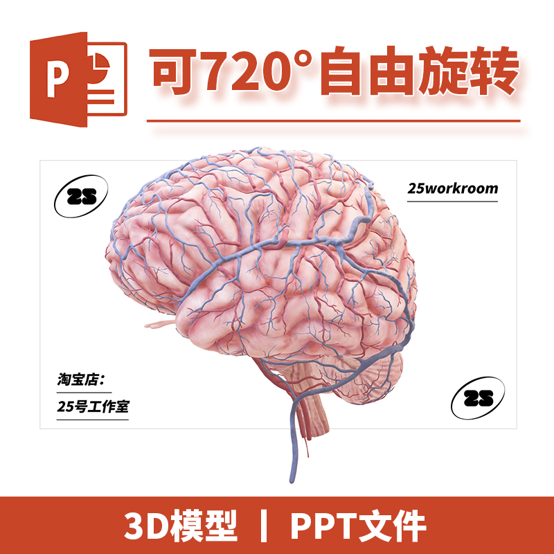PPT文档大脑小脑生物脑干医学解剖3D模型模板初中教学教材课件19