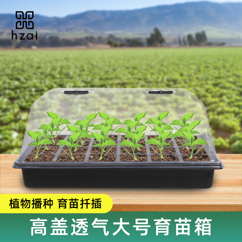 育苗盒高盖24孔扦插盆植物育苗盘穴盘种植塑料秧盘播种育苗盆蔬菜