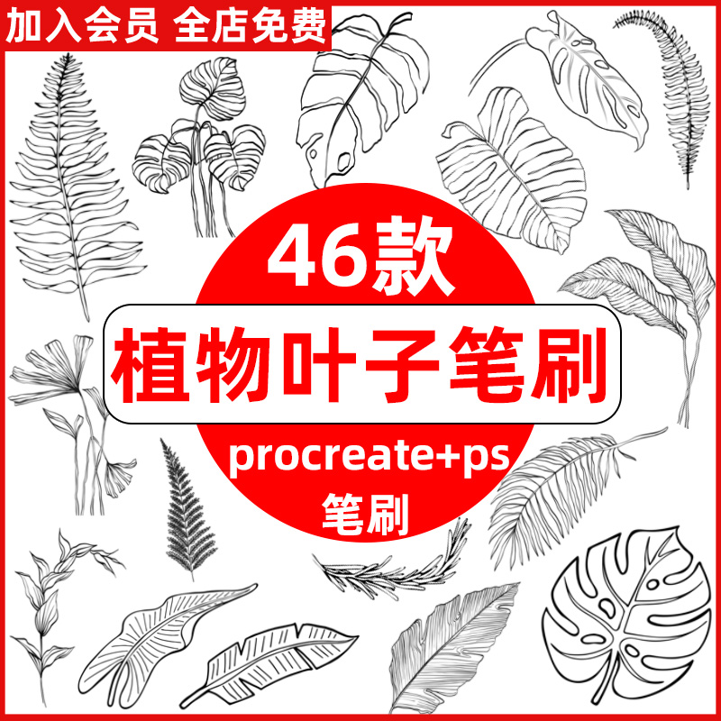 ps笔刷procreate笔刷热带植物叶子线稿手绘绿植树叶子装饰水印