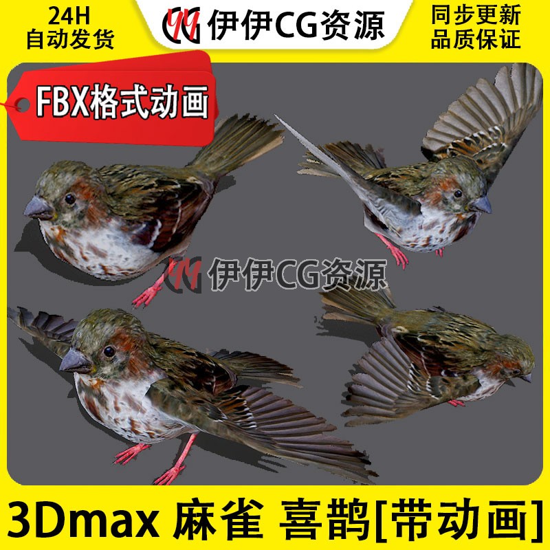 3DMax动物模型3D模型喜鹊飞禽鸟麻雀翠鸟FBX动画文件飞行Sparrow