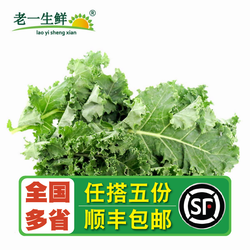 新鲜羽衣甘蓝 叶杜丹绿叶花包菜Kale 500g