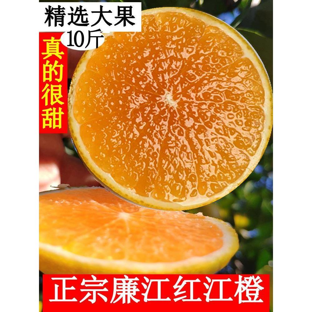 廉江红橙红江橙正宗红江农场橙子新鲜水果10斤当季现货红心橙